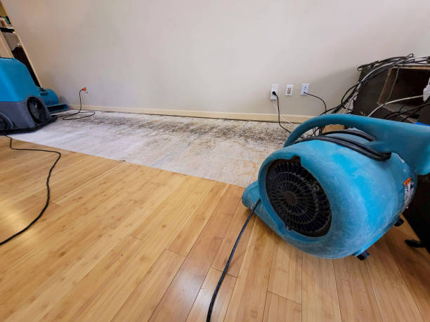 Professional Basement Flood Cleanup technician working in Brookville, NY